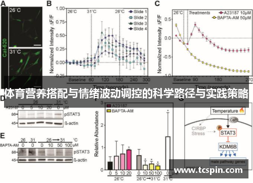 体育营养搭配与情绪波动调控的科学路径与实践策略